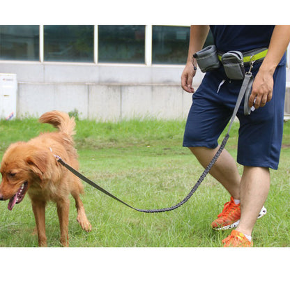 PetzyStar Adjustable Hands Free Dog Leash