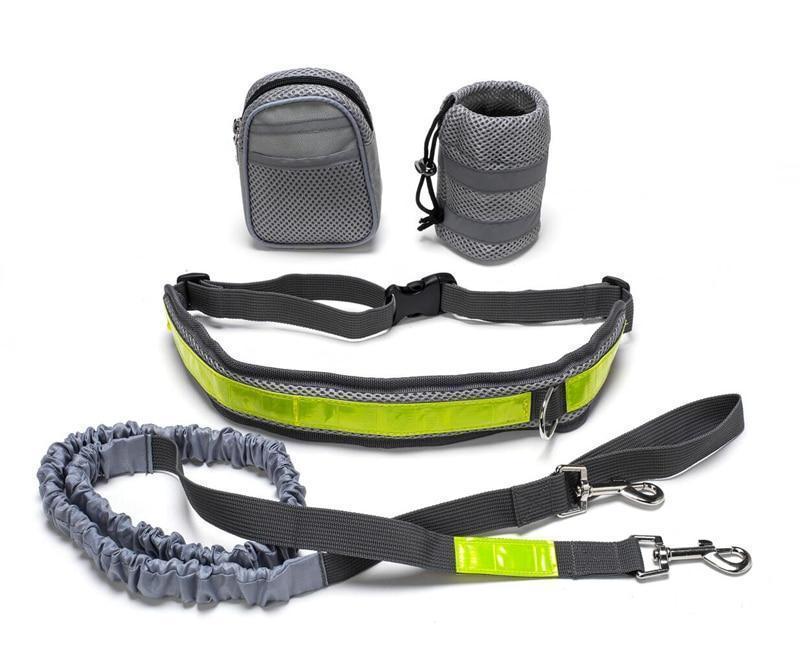 PetzyStar Adjustable Hands Free Dog Leash